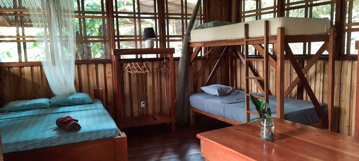 Painting in Paradise - Pina (Shared Room, no A/C)