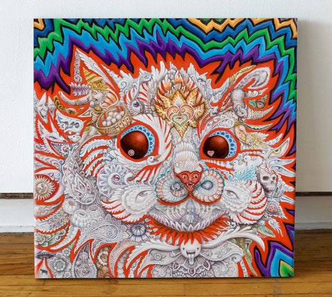 Red Cat Remix Stretched Canvas by Randal Roberts
