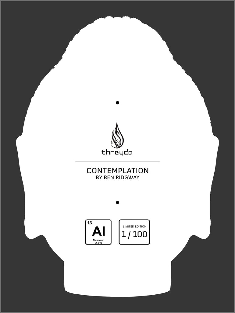 Contemplation Diecut Aluminum Print by Ben Ridgway